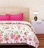 Pink Floral 144 TC Cotton Queen Sized Bed Sheets with 2 Pillow Covers