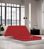 Essentio 3 Fold Reversible Travel Bed at FACTORY RATE PU Foam 4 Inches Single Size Mattress in Maroon Colour