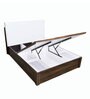 Estana Queen Size Bed in Brown Colour with Hydrualic Storage