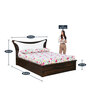 Estana Queen Size Bed in Brown Colour with Hydrualic Storage