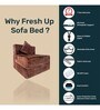 Estella 8 Inch Foam (72x30) In Brown Colour Single Size Sofa Cum Foldable Mattress