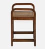 Estep Mango Wood End Table In Walnut Finish