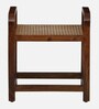 Estep Mango Wood End Table In Walnut Finish