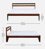 Kemer Sheesham Wood King Size Bed In Honey Oak Finish