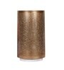Etched Metal Night Lamp with Metal Shade (Antique Gold & Gold)