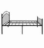 Etera Double Size Bed In Black Colour