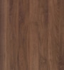 Ethen Shoe Cabinet in MultiColour