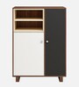 Ethen Shoe Cabinet in MultiColour