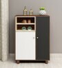 Ethen Shoe Cabinet in MultiColour