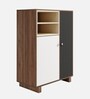 Ethen Shoe Cabinet in MultiColour
