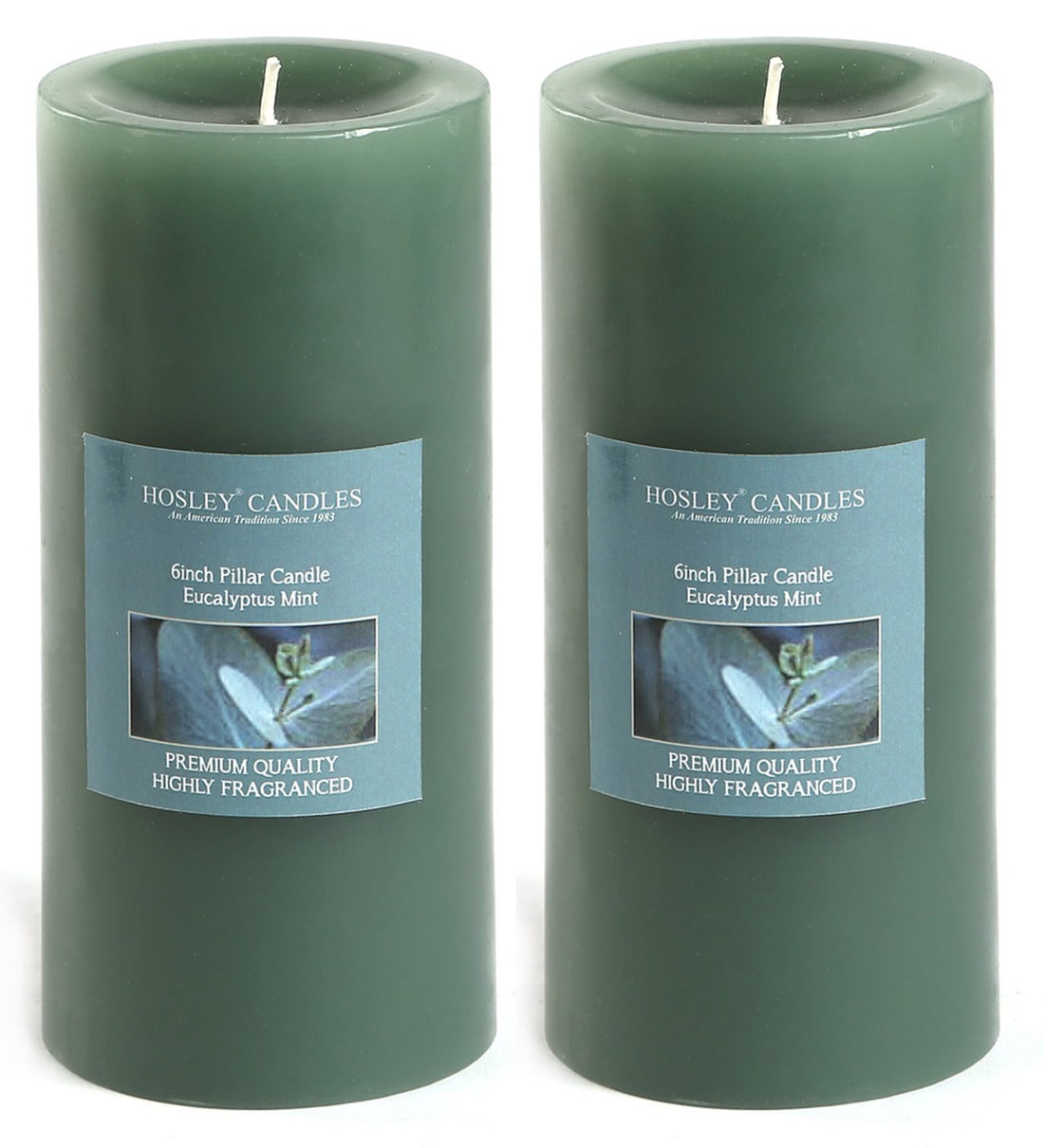 Buy Eucalyptus Mint 6 Inches Pillar Candles by Hosley Set of 2 Online