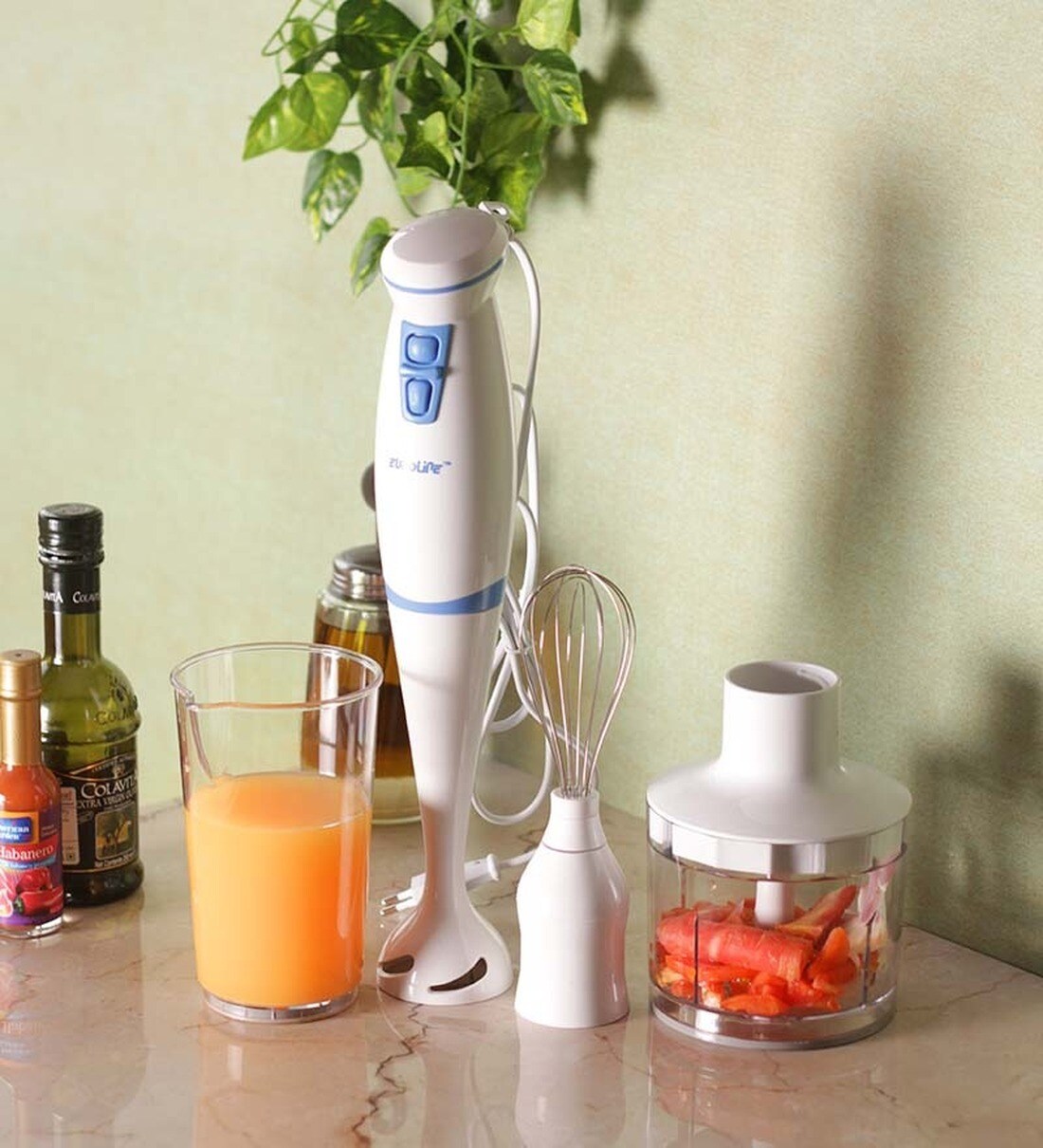 Buy Euroline Classic Hand Blender With Attachment Online Hand