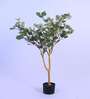 Artificial Eucalyptus Plant with Black Pot