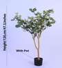Artificial Eucalyptus Plant with Black Pot