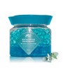 Eucalyptus Raindrops Plastic Air Freshner (Blue)