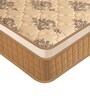 Eurocoil 9 inch Pocketed Spring Queen Size Mattress