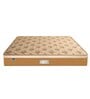 Eurocoil 9 inch Pocketed Spring Queen Size Mattress