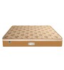 Eurocoil 9 inch Pocketed Spring Single Mattress