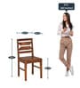 Europa Sheesham Wood 4 Seater Dining Set in Walnut Finish with Bench