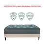 European Style EPE Foam 6 inch Pocketed Spring Queen Size Mattress in Green Colour