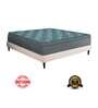 European Style EPE Foam 6 inch Pocketed Spring Queen Size Mattress in Green Colour