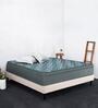 European Style EPE Foam 6 inch Pocketed Spring Queen Size Mattress in Green Colour