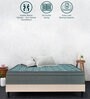 European Style EPE Foam 6 inch Pocketed Spring Queen Size Mattress in Green Colour