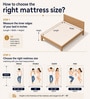 Eurotop Hybrid GOLS CERTFIED Natural Dunlop Latex 8 Inch Pocket Spring Mattress In Single Size