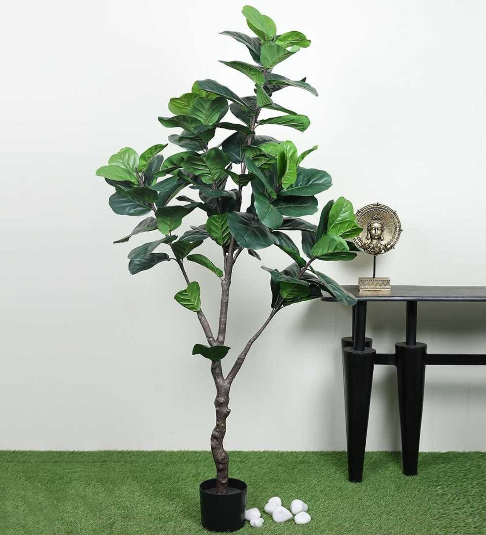 Fiddle Leaf Evergreen Artificial Plant (Green)