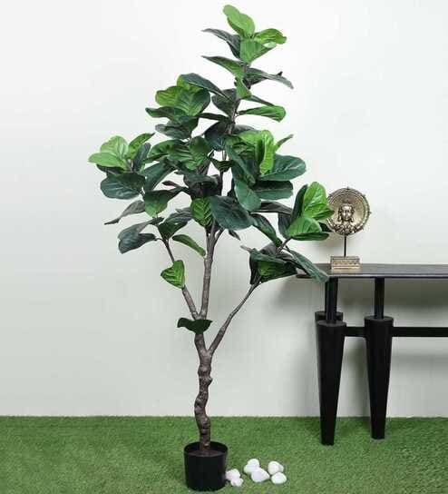 Fiddle Leaf Evergreen Artificial Plant (Green)