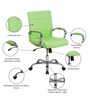 Eva Executive Office Chair in Green Colour