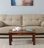 Eva Sheesham Wood Coffee Table In Rustic Teak Finish