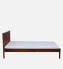 Eva Sheesham Wood Queen Size Bed In Honey Oak Finish