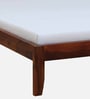 Eva Sheesham Wood Queen Size Bed In Honey Oak Finish