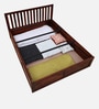 Eva Sheesham Wood Queen Size Bed In Honey Oak Finish With Box Storage