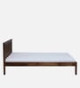 Eva Sheesham Wood Queen Size Bed In Provincial Teak Finish