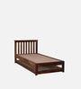 Eva Sheesham Wood Single Bed In Provincial Teak Finish with Trundle