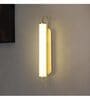 Evan 500mm Wall Light Metal & Acrylic Body Tri-Color LED Modern Decorative Wall Lamp for Bedroom Living Room