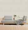 Evening Dove Design Subtle Elegance Modern Style Wallpaper