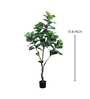Fiddle Leaf Evergreen Artificial Plant (Green)