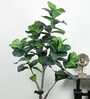 Fiddle Leaf Evergreen Artificial Plant (Green)