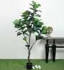 Fiddle Leaf Evergreen Artificial Plant (Green)