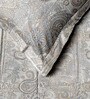 Grey Everyday King Size Bedding Set with 180TC Bedsheet With Comforter & 2pc Pillow Covers