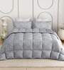 Grey Everyday King Size Bedding Set with 180TC Bedsheet With Comforter & 2pc Pillow Covers