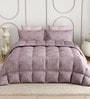Maroon Everyday King Size Bedding Set with 180TC Bedsheet With Comforter & 2pc Pillow Covers