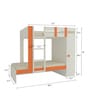 Evita Twin Bunk Bed-cum-Wardrobe in Light Orange Colour