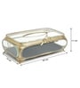 Gold Brass Evoria Tissue Holder