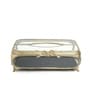 Gold Brass Evoria Tissue Holder