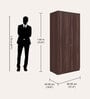 Ewa 2 Door Wardrobe wih Adjustable Shelf In Brown Colour 