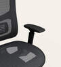 Exceed Mesh Ergonomic Chair in Black Ink Colour